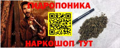 apvp Кингисепп