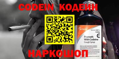 apvp Кингисепп