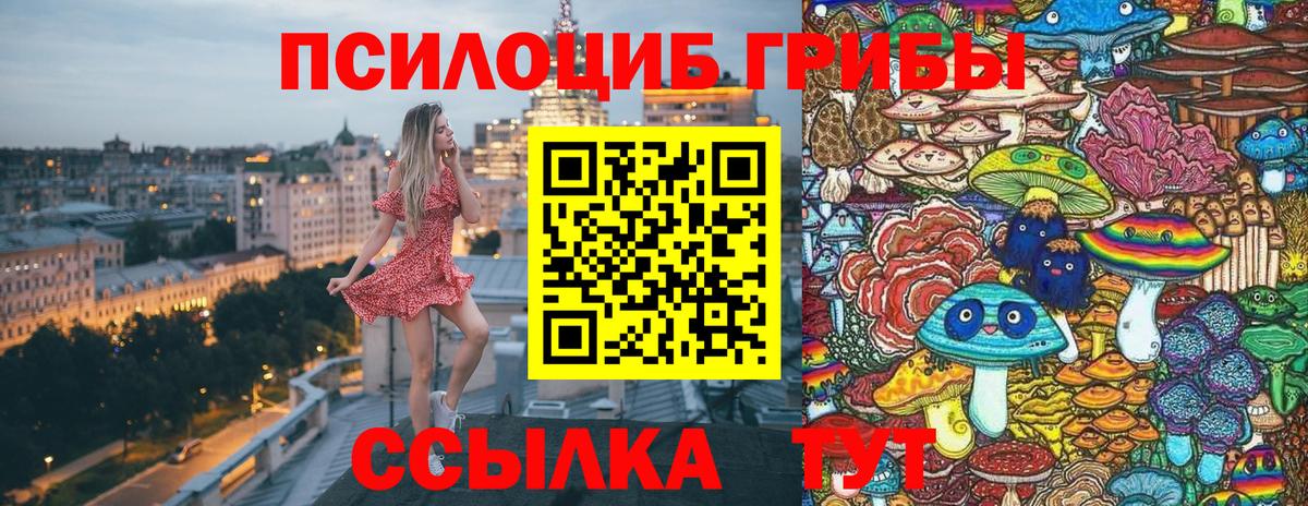 Электрогорск  Галлюциногенные грибы прущие грибы  Вход с VPN 