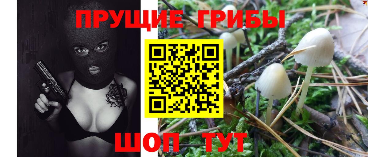 Псилоцибиновые грибы мухоморы Электрогорск
